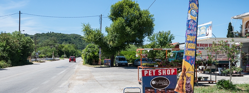 Vicky's Pet Shop