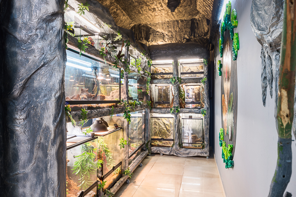 gallery
